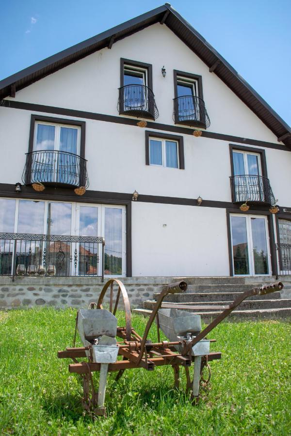 Casa Nevada Hotel Curtea de Argeş Екстериор снимка